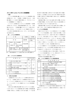 JIS Z 2305 によるレベル3の二次試験概要