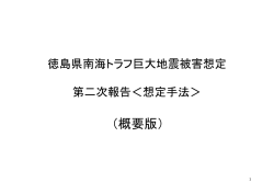 （概要）.pdf(632KBytes) - 徳島県