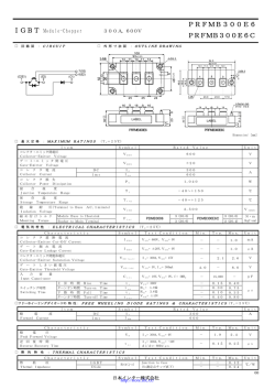 PRFMB300E6 - Datasheet.Directory
