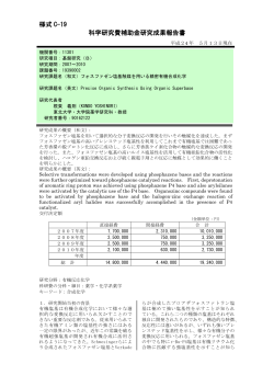 様式 C-19 科学研究費補助金研究成果報告書 - KAKEN - 科学研究費