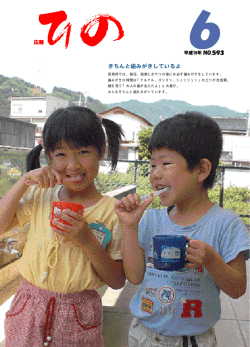 一括ダウンロードPDF - 日野町