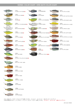WIRE BAITS COLOR CHART - Nories