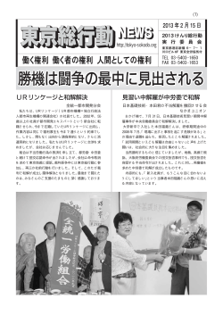 東京総行動ニュース（2013年2月15日）
