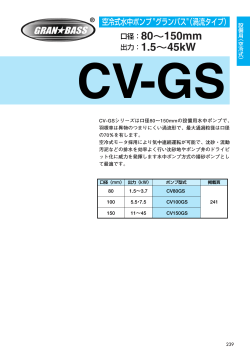 CV-GS