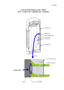 放射性物質等輸送容器の概要 (TN-17(M),TN-12B(M),TN-12P(M))