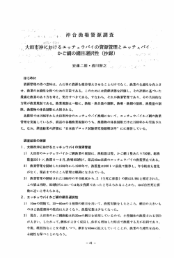 ﾛ大田市沖に薄けるエッチュウバイの資源管理とエッチニバイぶ - 島根県