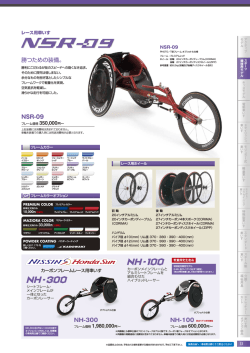 NH-300