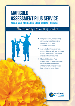Assessment Plus Service Marigold - Open Objects