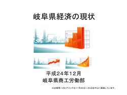岐阜県経済の現状（平成24年12月）（PDF： 820kb）