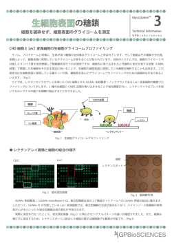 Technical Information03a_2