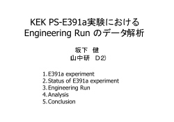 E391a Software