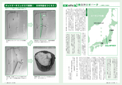 ホットケーキミックスで実験！ 日本列島をつくろう！ - 八峰町