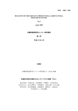 論文を読む（PDFファイル） - 沖縄県