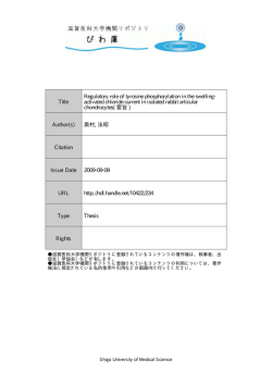 見る/開く