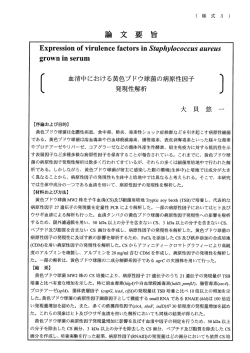 血清中における黄色ブドウ球菌の病原性因子 発現性解析