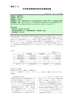 PDF - KAKEN - 科学研究費助成事業データベース