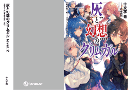 灰 と 幻 想 の グ リ ム ガ ル le v e l.2