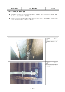 1 / 19 共通の損傷 ⑳ 漏水・滞水 (Ⅰ) 一般的性状・損傷の特徴