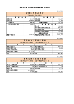 貸 借 対 照 表 の 要 旨 資 金 収 支 計 算 書 の 要 旨 事 業 活 動 計 算