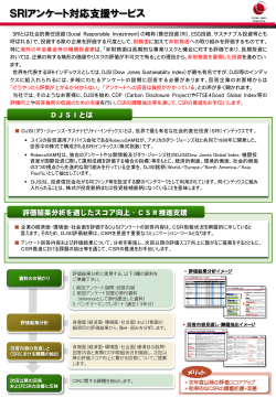 SRIアンケート対応支援（PDF形式、1Mバイト） - 損保ジャパン日本興亜