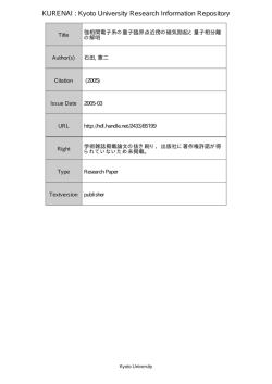 強相関電子系の量子臨界点近傍の磁気励起と量子相分離の解明
