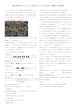 両眼立体視におけるゲシュタルト要因 電子システム  - 情報科学センター