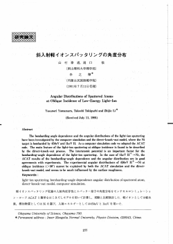 Page 1 Page 2 核融合研究 第66巻第3号 ー99ー年9月 重量イ オンが