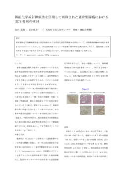 術前化学放射線療法を併用して切除された通常型膵癌における CD74