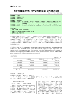 研究成果報告書 - KAKEN - 科学研究費助成事業データベース