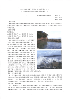 （寄り回り波）による災害について ～松波海岸における冬期波浪災害事例