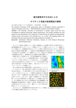偏光顕微赤外分光法による ネマチック液晶の転傾構造の観察