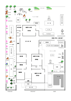 ﾎｳ ｶｴﾃﾞ ｶｴﾃﾞ ﾔﾅｷﾞ ﾄﾞﾝｸﾞﾘ ﾄﾞﾝｸﾞﾘ ｳﾒ 小 学 ﾔﾂﾃﾞ ﾄﾞﾝｸﾞ
