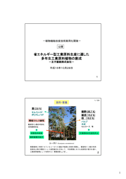 省エネルギー型工業原料生産に適した 多年生工業原料植物の創成