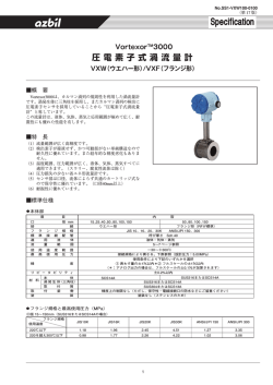 SS1-VXW100-0100