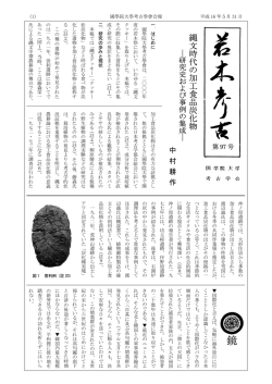 縄文時代 の加工食品炭化物 - 縄文学研究室