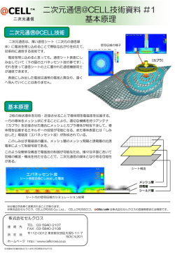 PDFをダウンロード（1.25MB） - 株式会社セルクロス