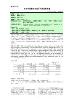 様式 C-19 科学研究費補助金研究成果報告書 - KAKEN - 科学研究費
