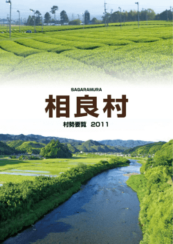 村勢要覧 2011 - 相良村役場