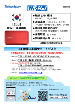 【Egg】 KWF-B3000 - Wi-Ho!