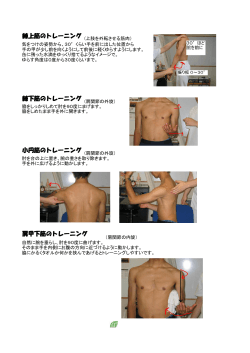 棘上筋のトレーニング 棘下筋のトレーニング 小円筋のトレーニング 肩甲