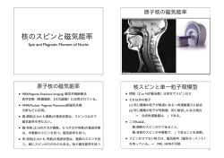 核のスピンと磁気能率