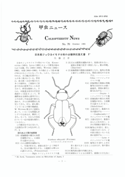 日本産ジョウカイモドキ科の分類学的覚え書 I * 4 (5)前胸背板の側緑は