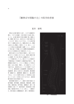 「腰伸ばせ即腹の力」の医学的考察 （夏井 裕明） - 東京女子体育大学