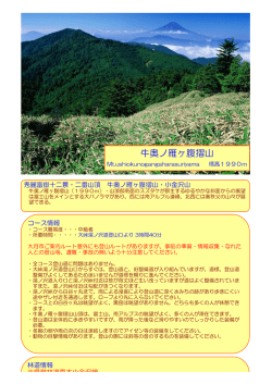 牛奥ノ雁ヶ腹摺山 - 大月市