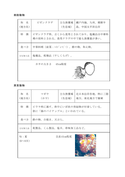 刺胞動物 和 名 ビゼンクラゲ 主な漁獲域 瀬戸内海，九州，朝鮮半 (地方