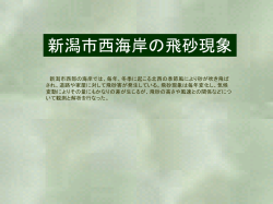 新潟市西海岸の飛砂現象