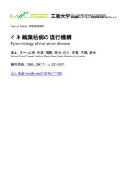 イネ縞葉枯病の流行機構 - MIUSE - 三重大学