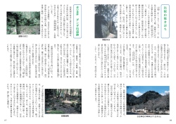 謎の遺跡 ダンダ坊遺跡