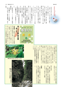 南 ア ル プ ス の 麓 に 眠 る 廃 墟 ― 燕 岩 ―