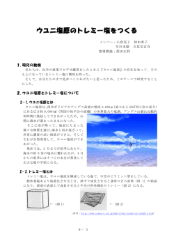 ウユニ塩原のトレミー塩をつくる